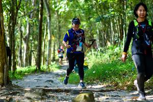 BIB: 
                            <button type="button" onclick="openModal(19436120)" class="btn btn-primary btn-sm float-right btn-popup" data-toggle="modal" data-target=".modal-high-quality">
                        <i class="fas fa-shopping-cart"></i> Add to Cart
                    </button>
                                            <button type="button" onclick="isThisMe(19436120, true)" class="btn btn-success btn-sm float-right btn-popup btn-isme hidden" data-toggle="tooltip" data-placement="bottom" title="นี่คือรูปของคุณใช่ไหม คลิกที่นี่เพื่อเอาเข้าอัลบั้ม">
                        <i class="fas fa-plus"></i> Add to album
                    </button>
                    <button type="button" onclick="isThisMe(19436120, false)" class="btn btn-warning btn-sm float-right btn-popup btn-isnotme hidden">
                        <i class="fas fa-ban"></i> Remove from album
                    </button>